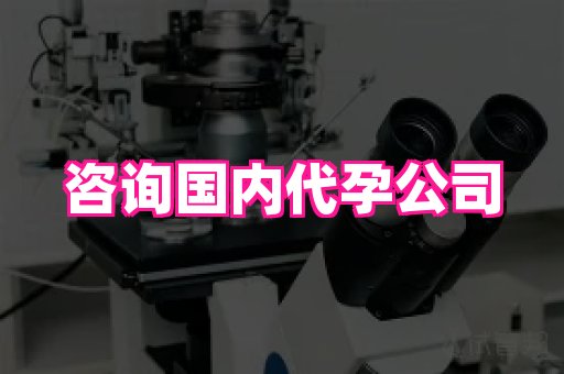 成都助孕网站 1