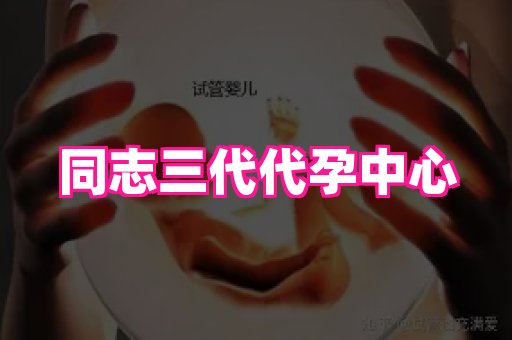 成都助孕网站 2