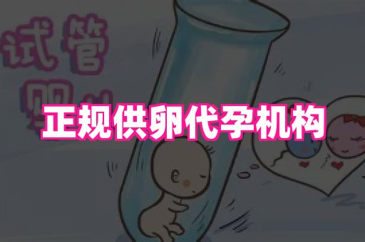 成都助孕网站 4